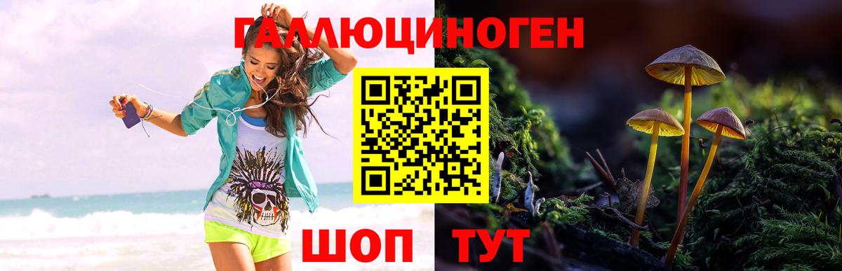 Псилоцибиновые грибы GOLDEN TEACHER  Вход с VPN  Шахты 